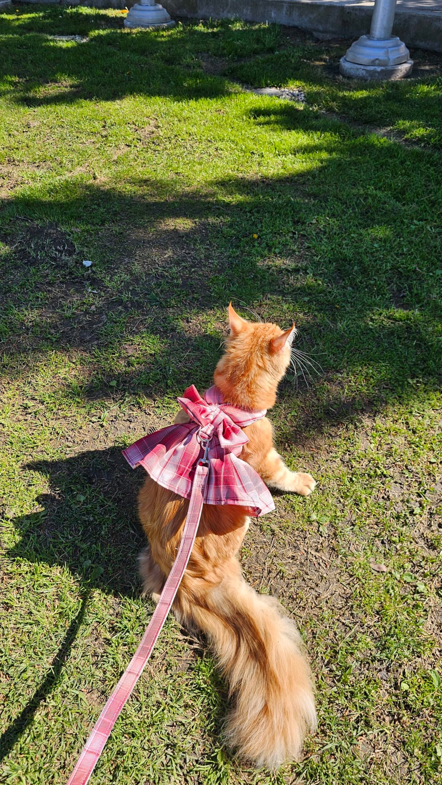 20250309_151243-rotated